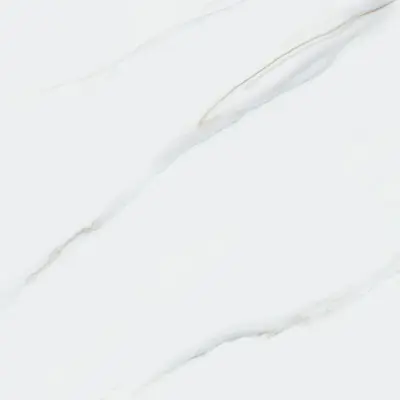 MP8818 - MECO6618