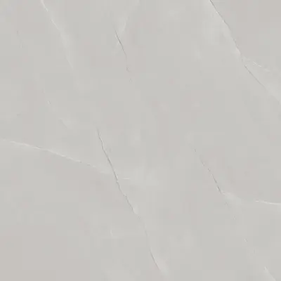 VP1010.5080F