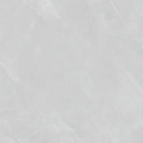 MP1010.1013F